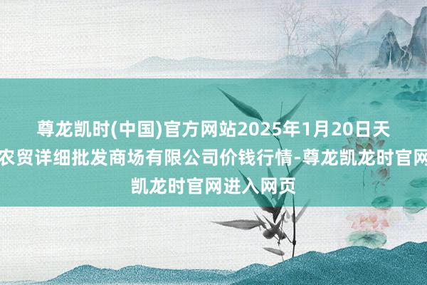 尊龙凯时(中国)官方网站2025年1月20日天津市红旗农贸详细批发商场有限公司价钱行情-尊龙凯龙时官网进入网页