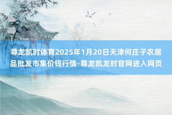 尊龙凯时体育2025年1月20日天津何庄子农居品批发市集价钱行情-尊龙凯龙时官网进入网页