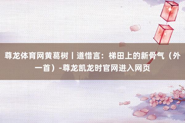 尊龙体育网黄葛树丨道惜言：梯田上的新骨气（外一首）-尊龙凯龙时官网进入网页