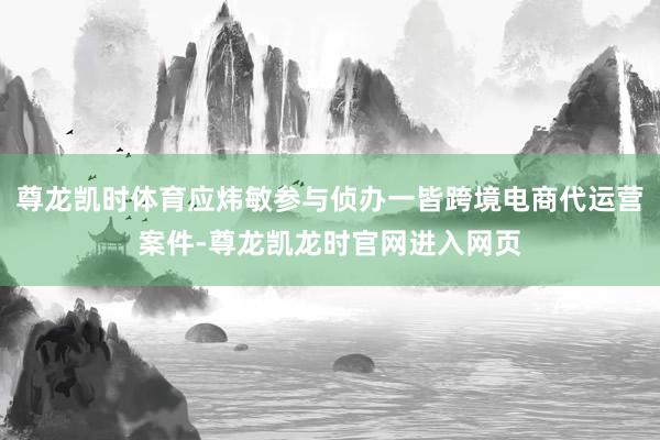 尊龙凯时体育应炜敏参与侦办一皆跨境电商代运营案件-尊龙凯龙时官网进入网页