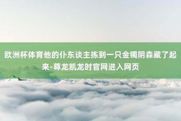 欧洲杯体育他的仆东谈主拣到一只金镯阴森藏了起来-尊龙凯龙时官网进入网页