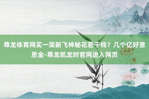 尊龙体育网买一架新飞神秘花若干钱？几个亿好意思金-尊龙凯龙时官网进入网页