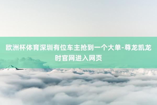 欧洲杯体育深圳有位车主抢到一个大单-尊龙凯龙时官网进入网页